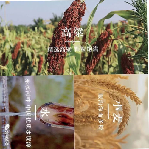 醬酒行業(yè)大揭秘！
