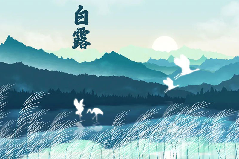 【白露節氣】露從今夜白，秋風至此涼